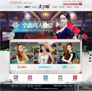 三套NET南极天下无双源码 带视频搭建教程-犀牛源码网