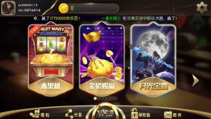 TNT永盛娱乐电玩城完整服务器打包数据+双端app-犀牛源码网