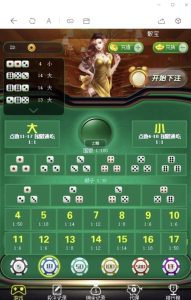 H5骰子绿色T宝源码+视频搭建教程-犀牛源码网