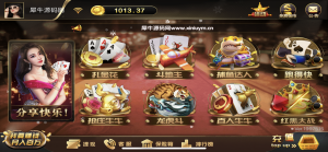 运营级胜博大金猪娱乐平台完整组件解密双端+视频搭建教程-犀牛源码网