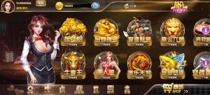 经典街机电玩游戏平台 178系列 星途电玩城(星力电玩)带机器人完美运营版本-犀牛源码网