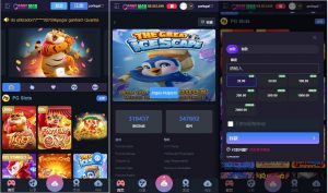 全开源巴西pg电子海外游戏源码-犀牛源码网